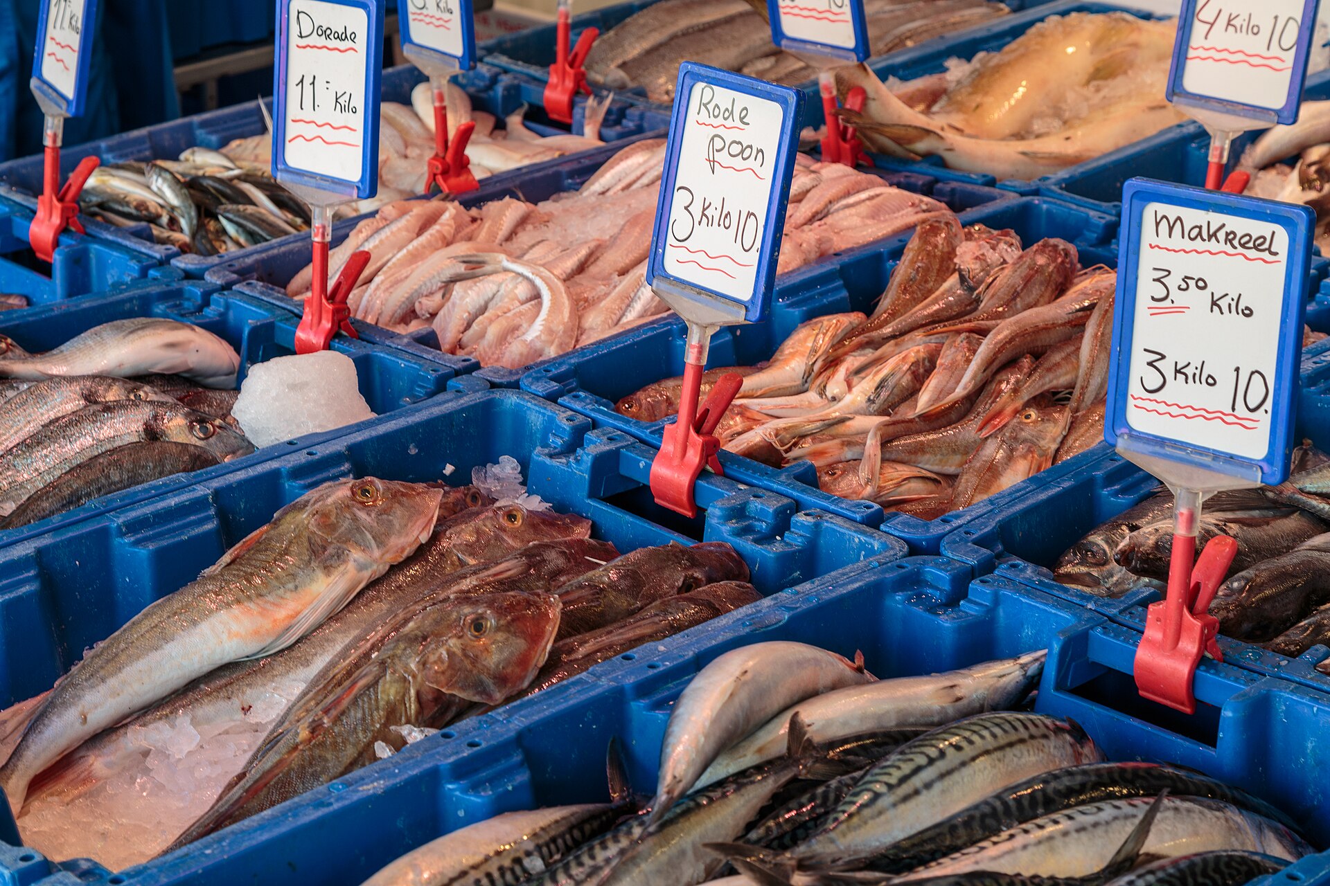 Market stalls at Groningen's Vismarkt