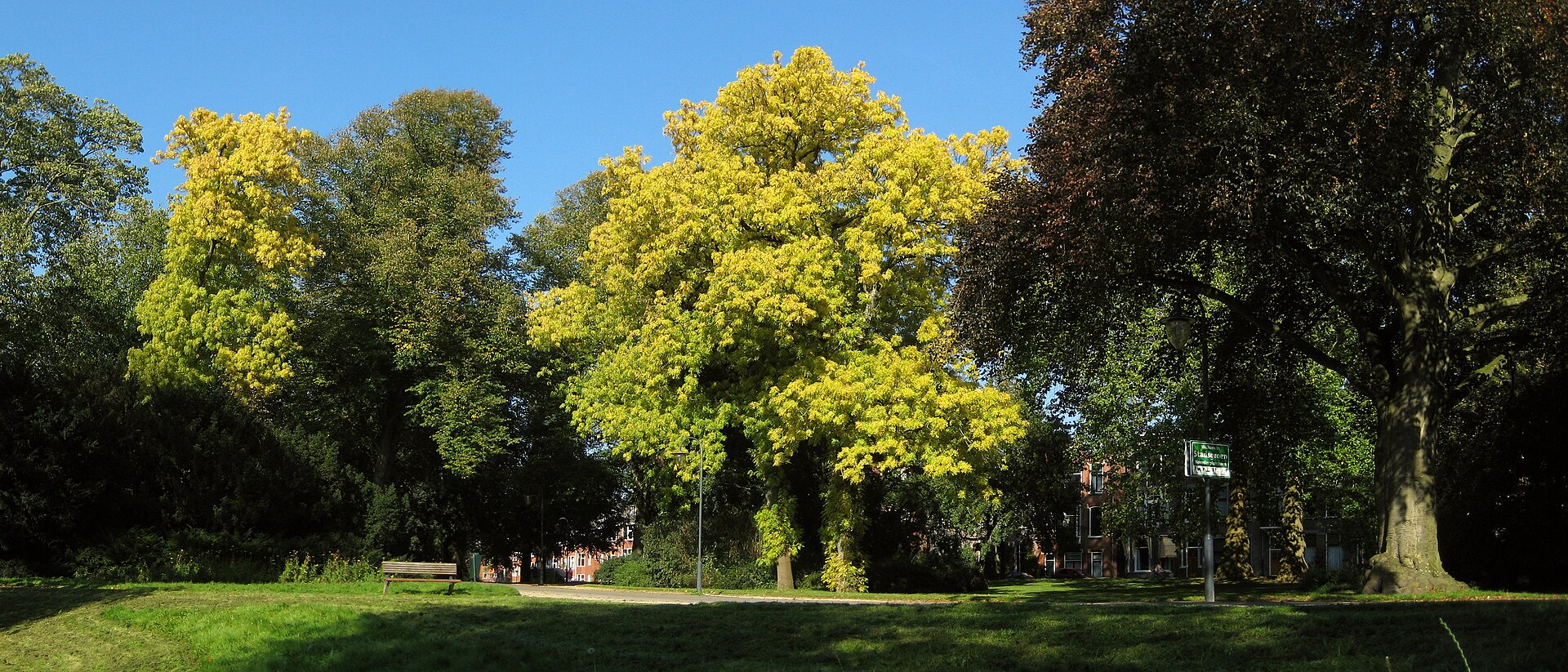 A green path through Noorderplantsoen